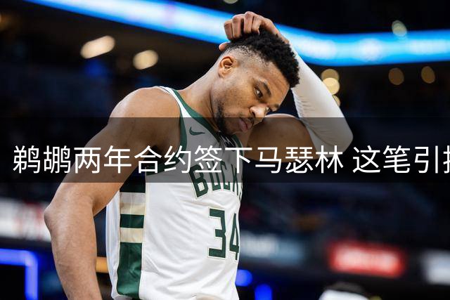 鹈鹕两年合约签下马瑟林 这笔引援是否物超所值？